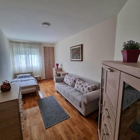 Riverside Apartment Podgoriţa Exterior foto